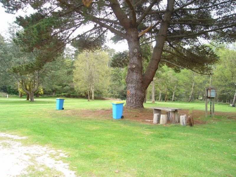 12 Main Road, Weldborough TAS 7264