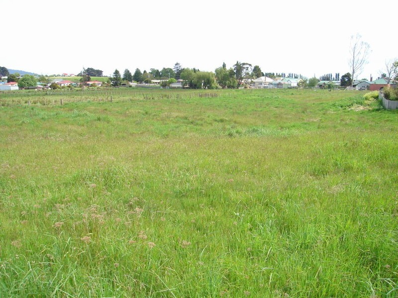 17 Winnaleah Road, Winnaleah TAS 7265