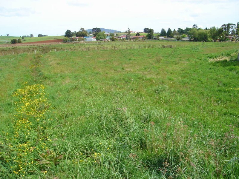 17 Winnaleah Road, Winnaleah TAS 7265