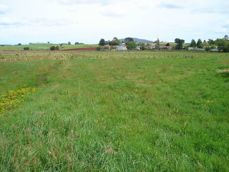 17 Winnaleah Road, Winnaleah TAS 7265