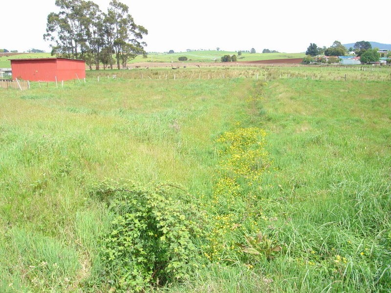 17 Winnaleah Road, Winnaleah TAS 7265