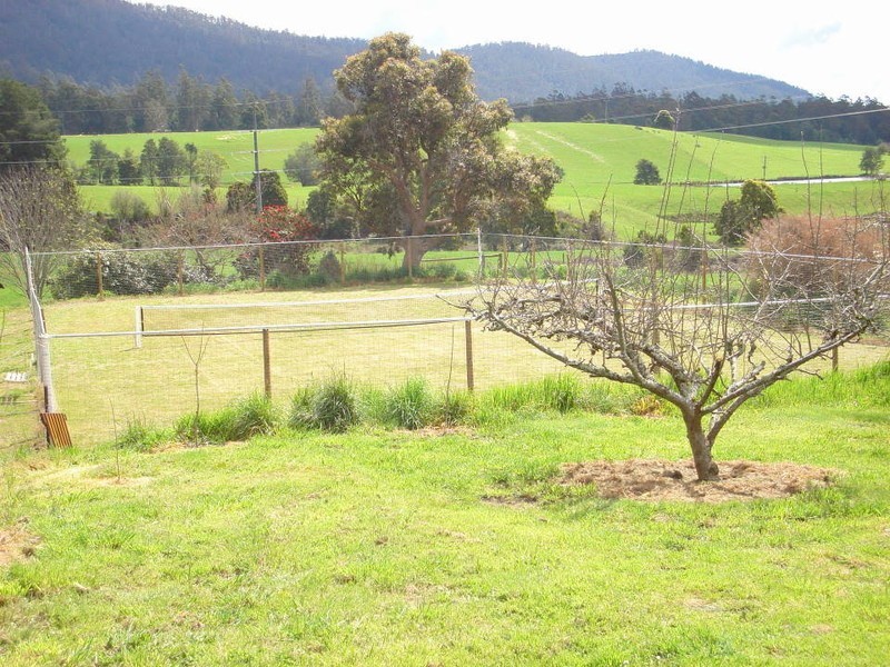 219-221 Upper Brid Road, Scottsdale TAS 7260