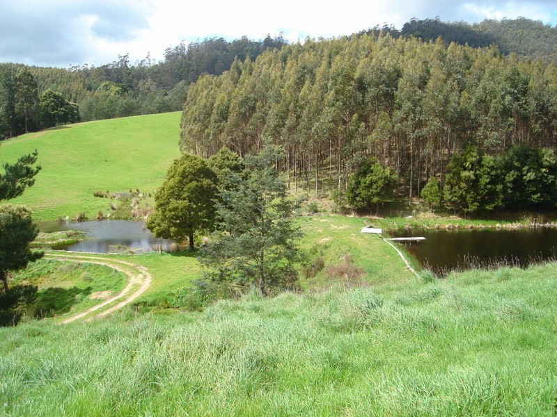 219-221 Upper Brid Road, Scottsdale TAS 7260