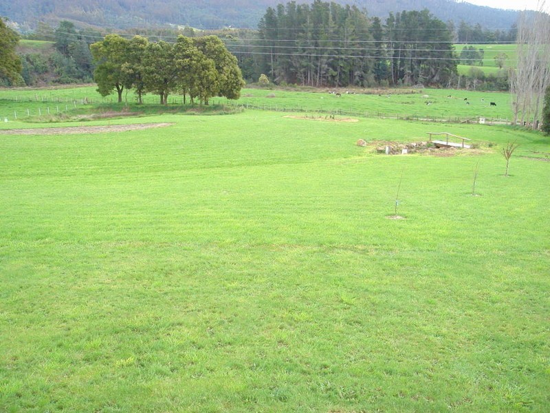 219-221 Upper Brid Road, Scottsdale TAS 7260