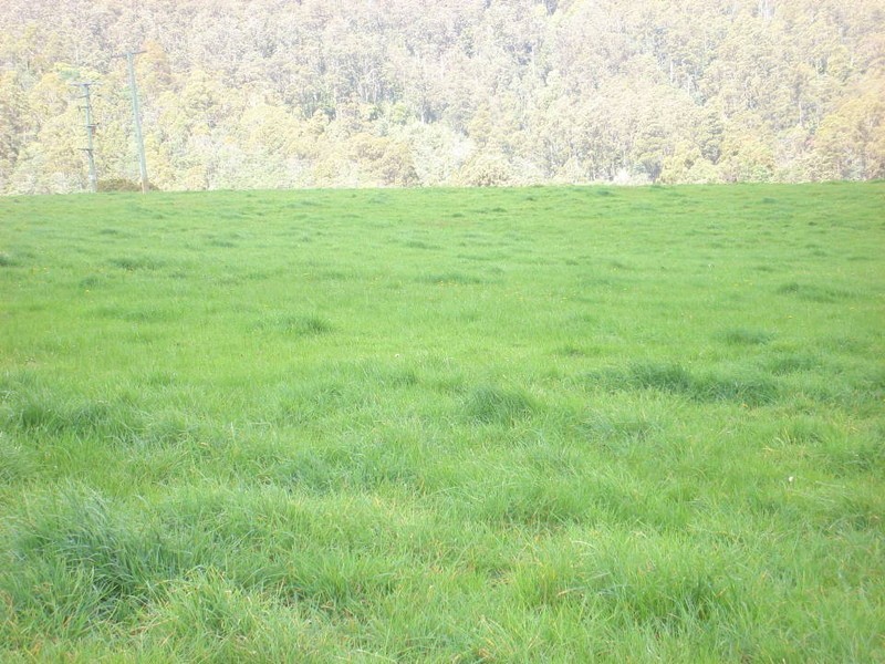 219-221 Upper Brid Road, Scottsdale TAS 7260