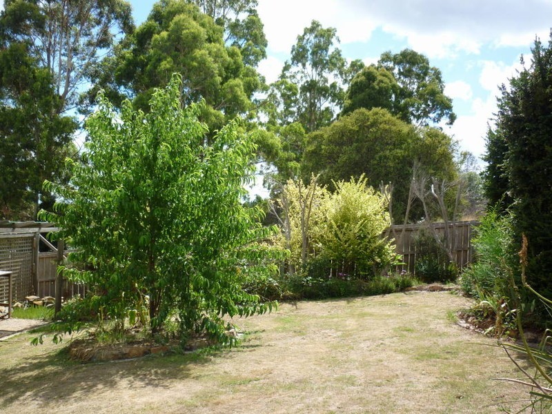 14 Donald Street, Branxholm TAS 7261