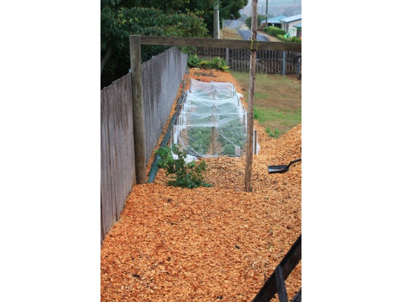 14 Donald Street, Branxholm TAS 7261