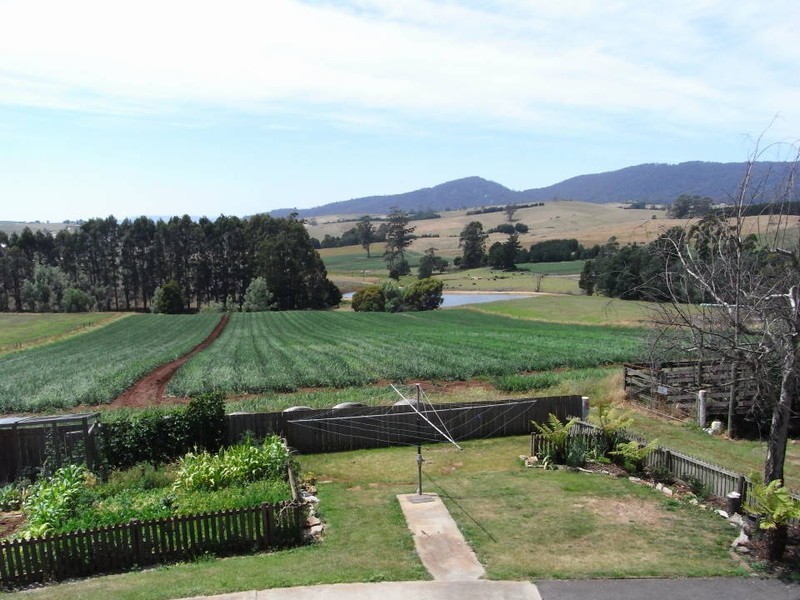 17 Ringarooma Road, Scottsdale TAS 7260