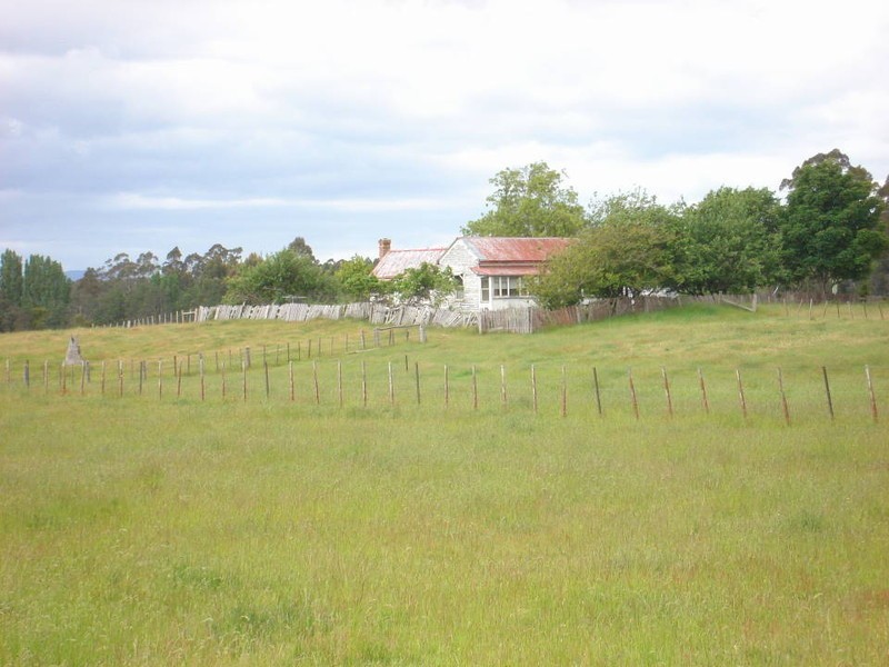 169 Cuckoo Road, Scottsdale TAS 7260