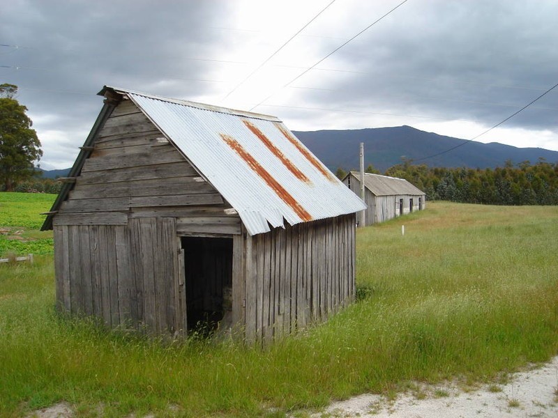 169 Cuckoo Road, Scottsdale TAS 7260