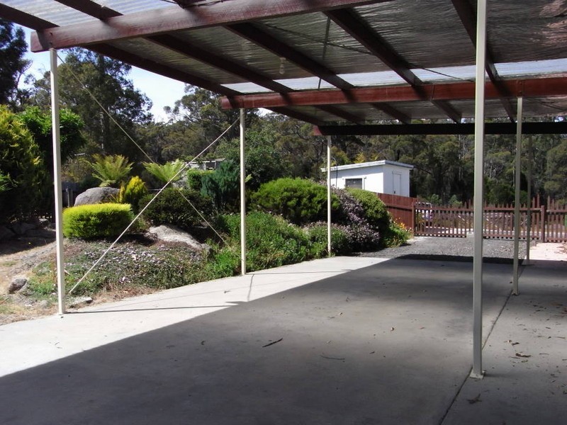 981 Jensens Road, Scottsdale TAS 7260