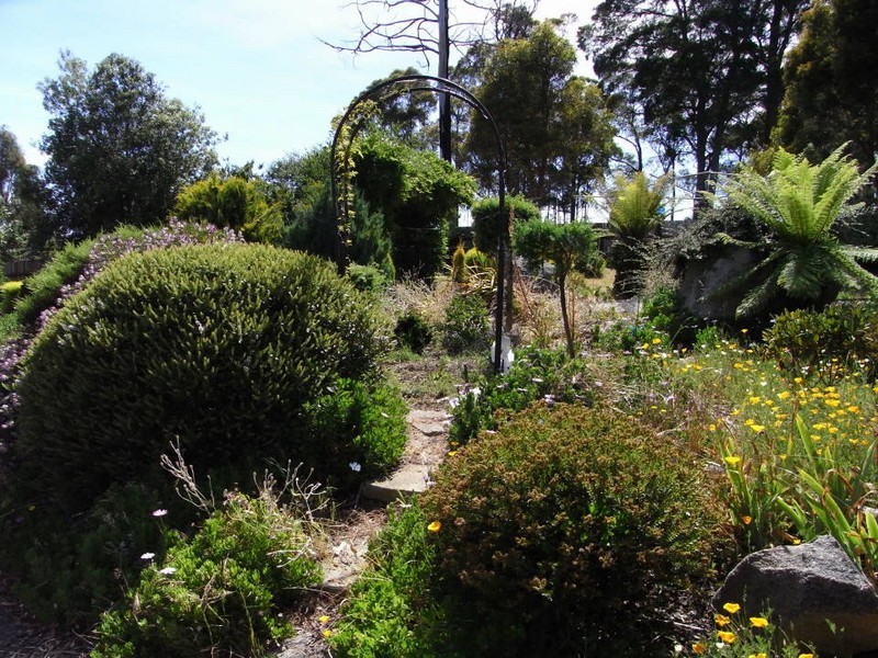 981 Jensens Road, Scottsdale TAS 7260