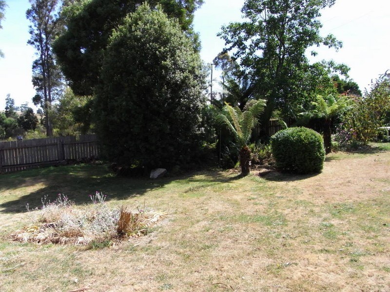 981 Jensens Road, Scottsdale TAS 7260