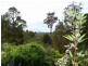 Carins Road Scottsdale, Scottsdale TAS 7260