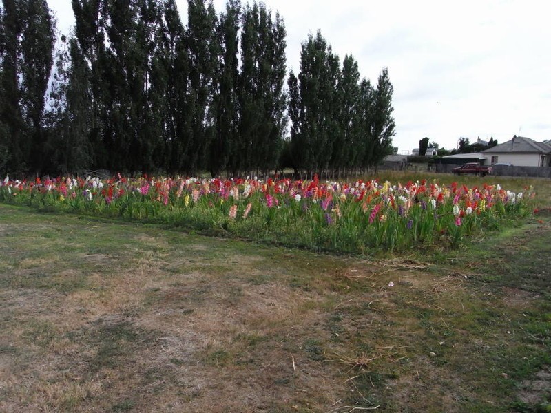 26 Carisbrook Lane, Legerwood TAS 7263