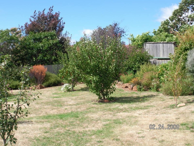 14 Charles Street, Scottsdale TAS 7260