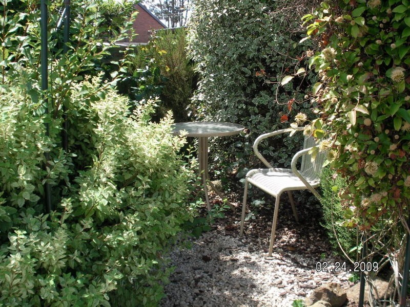 14 Charles Street, Scottsdale TAS 7260