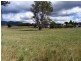 49 Main Street, Legerwood TAS 7263