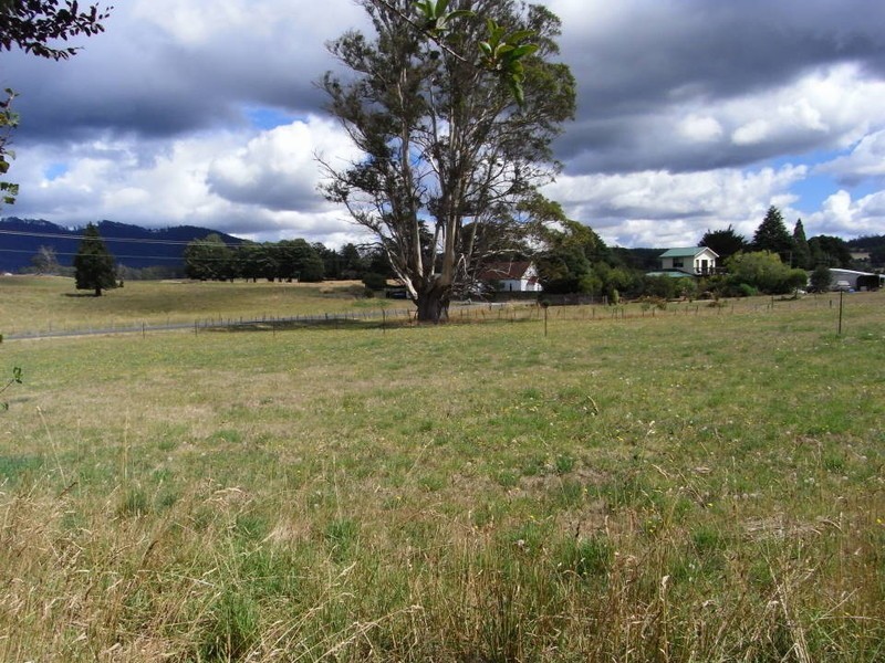 49 Main Street, Legerwood TAS 7263