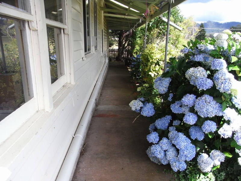 49 Main Street, Legerwood TAS 7263
