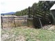 49 Main Street, Legerwood TAS 7263