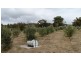 1582 Bridport Road, Bridport TAS 7262