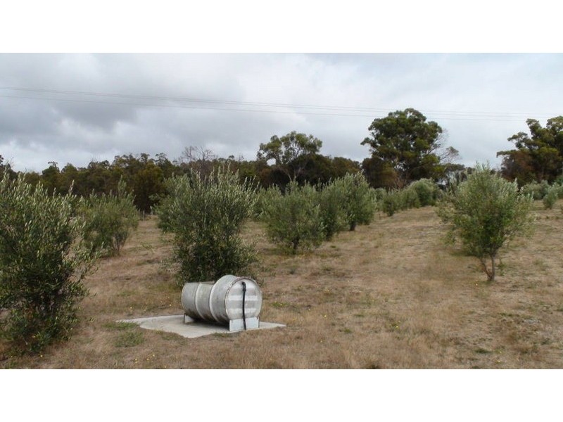 1582 Bridport Road, Bridport TAS 7262