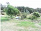 397 Jensens Road, Scottsdale TAS 7260