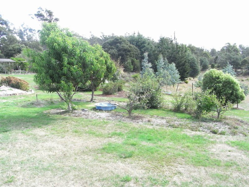 397 Jensens Road, Scottsdale TAS 7260