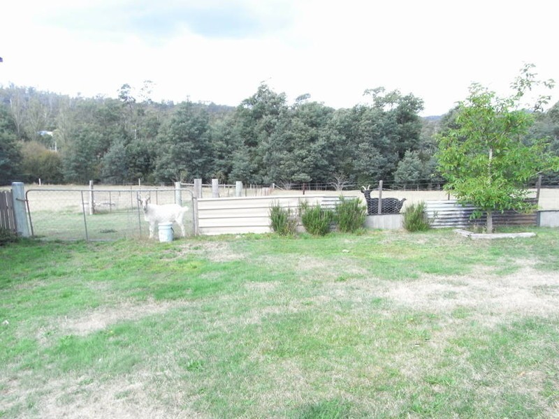 397 Jensens Road, Scottsdale TAS 7260