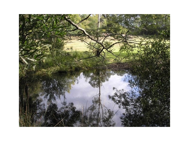 1480 Gladstone Road, Sth Mount Cameron, Gladstone TAS 7264