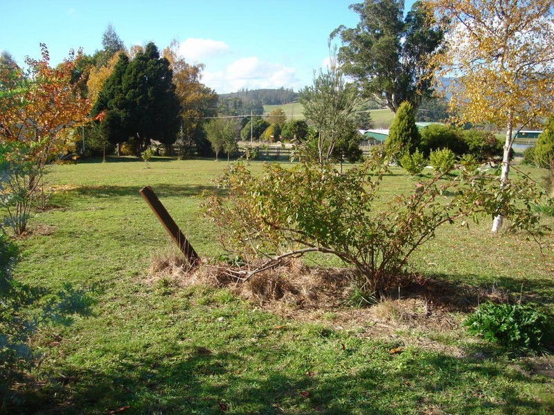 35982 Tasman Highway, Scottsdale TAS 7260