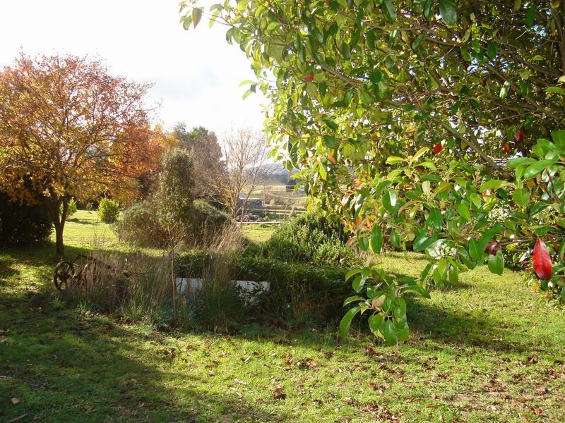 35982 Tasman Highway, Scottsdale TAS 7260