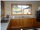 306  Pennells Road, Scottsdale TAS 7260