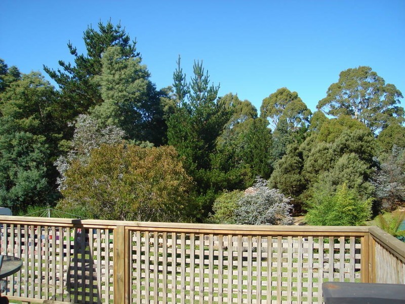 50 Scott Street, Branxholm TAS 7261