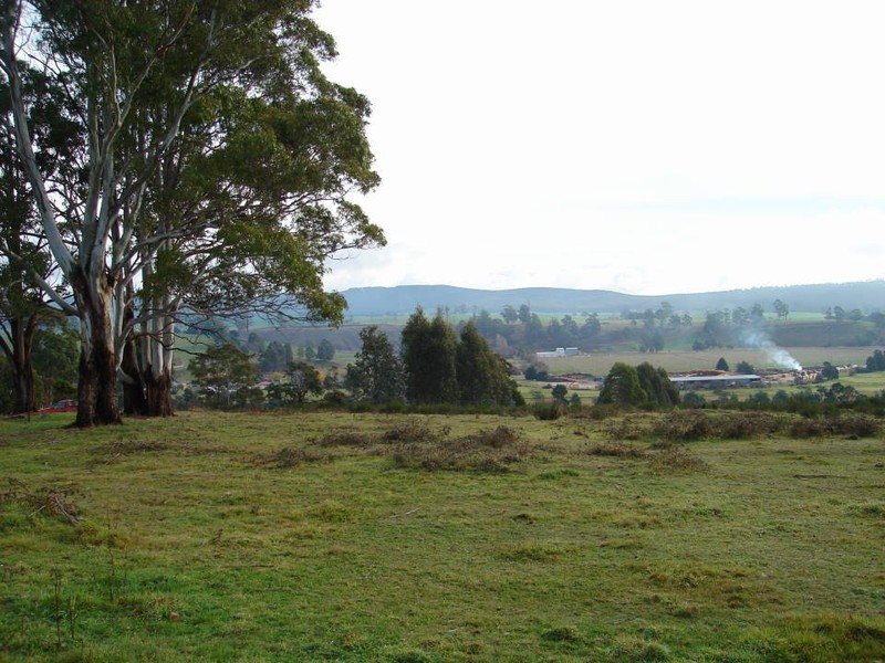 16 Albert Street, Branxholm TAS 7261