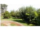 141a George Street, Scottsdale TAS 7260