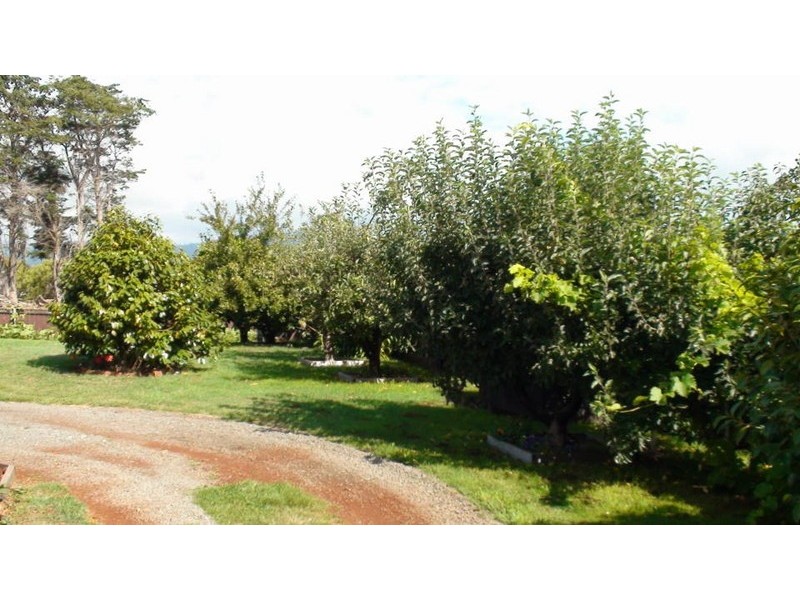 141a George Street, Scottsdale TAS 7260