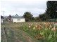 26 Carisbrook Lane, Legerwood TAS 7263
