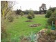 281 Alberton Road, Ringarooma TAS 7263