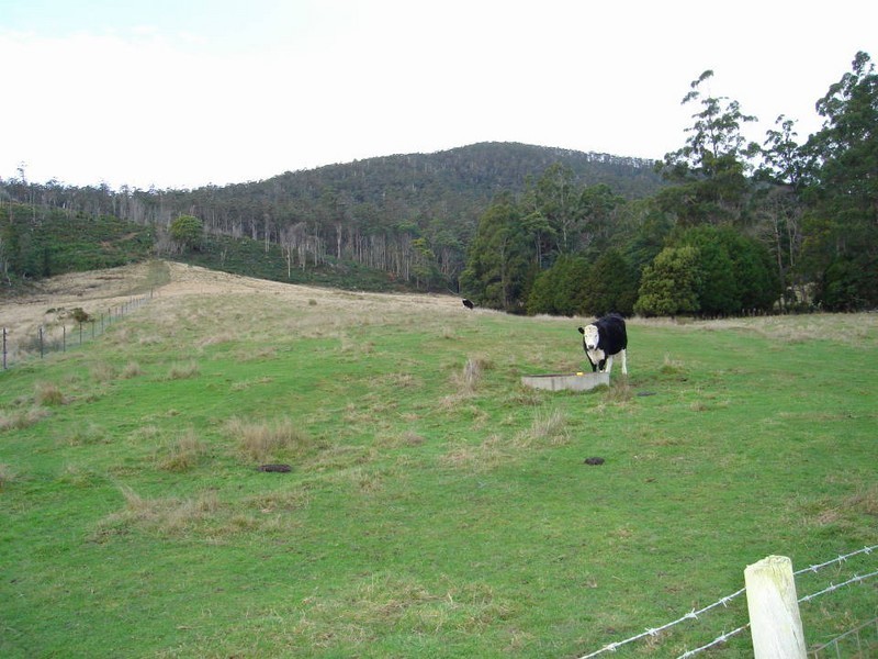 281 Alberton Road, Ringarooma TAS 7263
