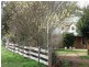 21 Diprose Street, Legerwood TAS 7263