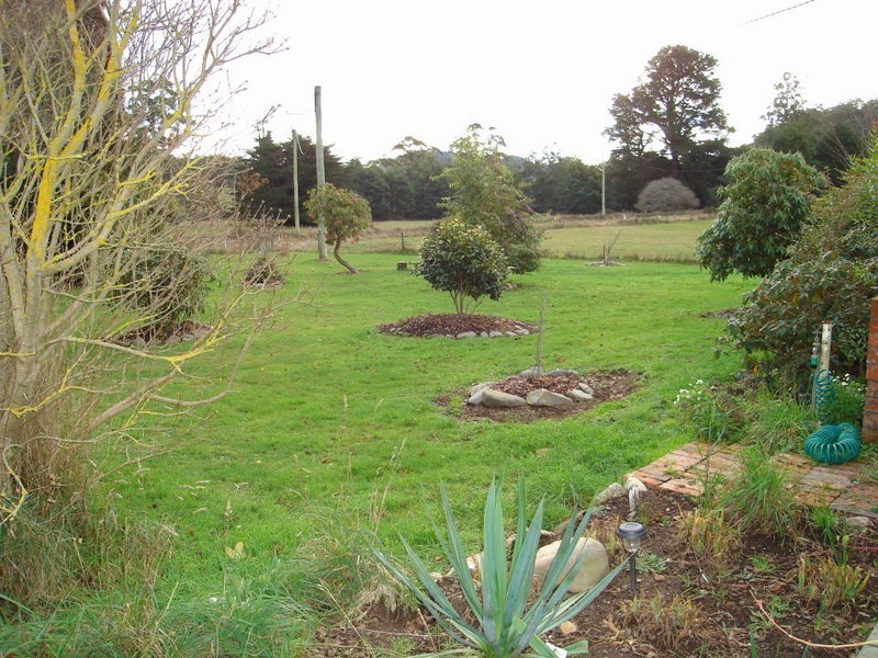 281 Alberton Road, Ringarooma TAS 7263