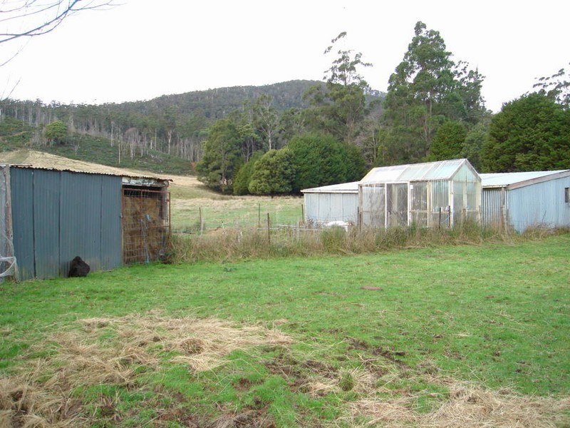 281 Alberton Road, Ringarooma TAS 7263