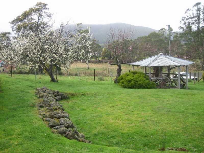 129 Nabowla Road, Nabowla, Scottsdale TAS 7260