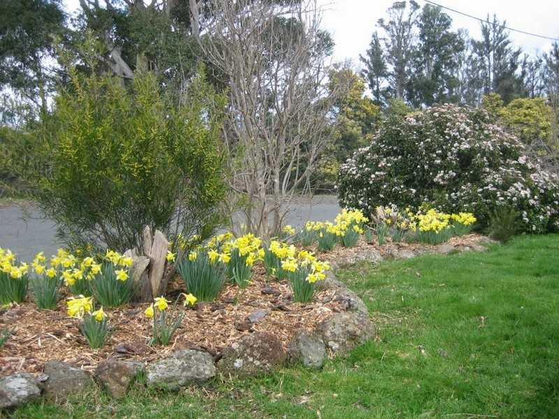 129 Nabowla Road, Nabowla, Scottsdale TAS 7260