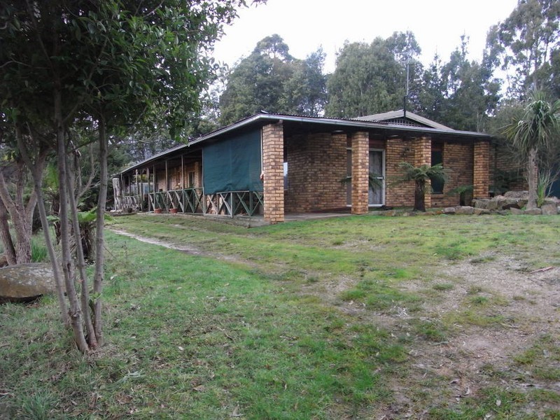 486 East Maurice Road, Ringarooma TAS 7263