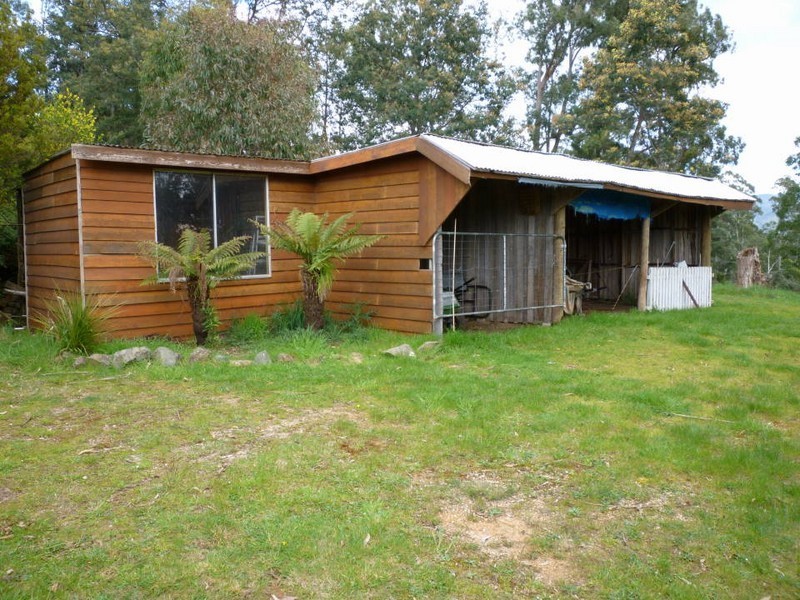 486 East Maurice Road, Ringarooma TAS 7263
