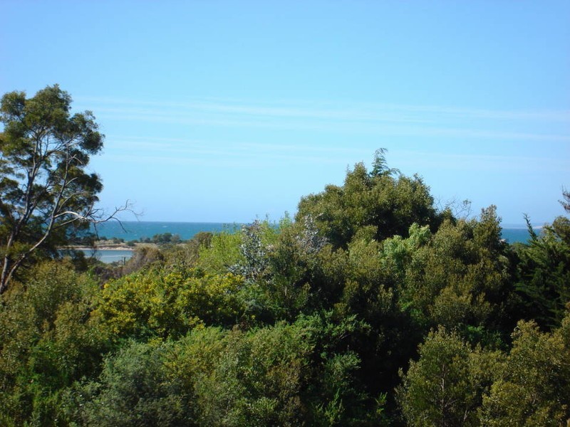 10 Bridview Place, Bridport TAS 7262