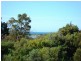 10 Bridview Place, Bridport TAS 7262